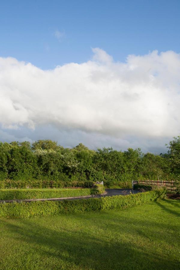 Inviting 4-Bed House In Strokestown Vila Exterior foto